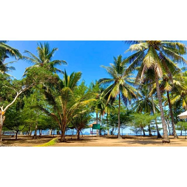 Natural Damas Beach
