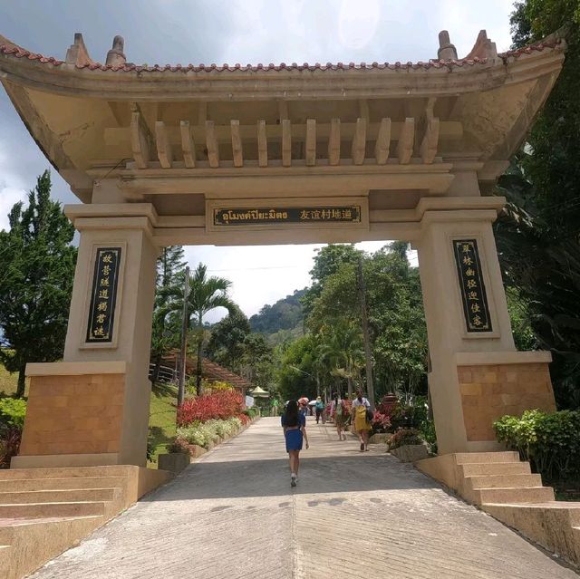 เที่ยวอุโมงค์ปิยะมิตร ชมต้นไม้พันปี