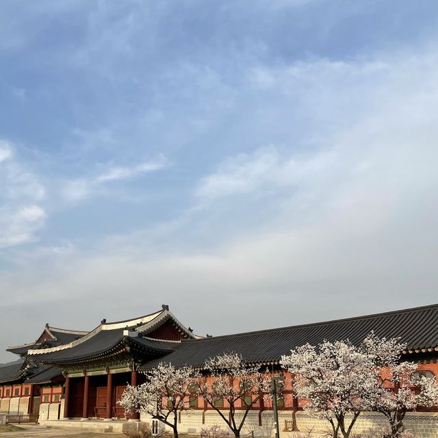 [종로] 경복궁