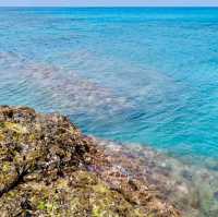 【屋久島】一湊海水浴場