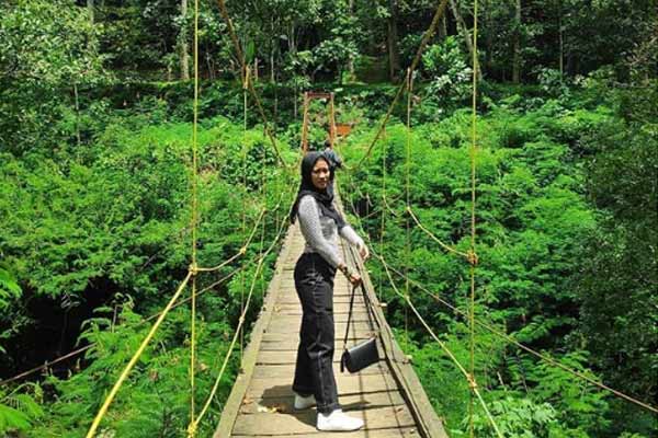 Review Taman Hutan Raya Juanda: Destinasi Alam dan Edukasi di Bandung Timur