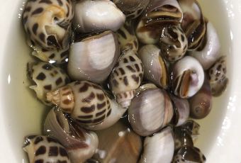 高佳莊·舟山海鮮（海景旗艦店）用戶圖片