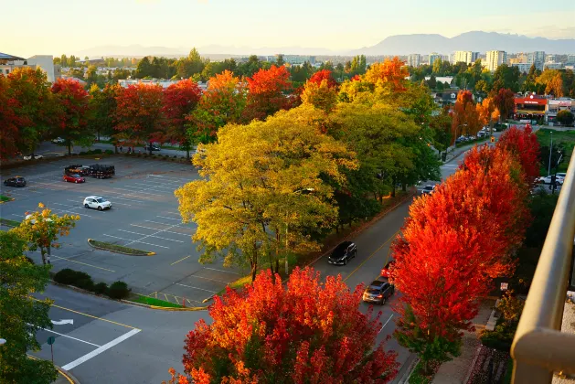 Отзывы об отеле Georgian Court Hotel, WorldHotels Elite