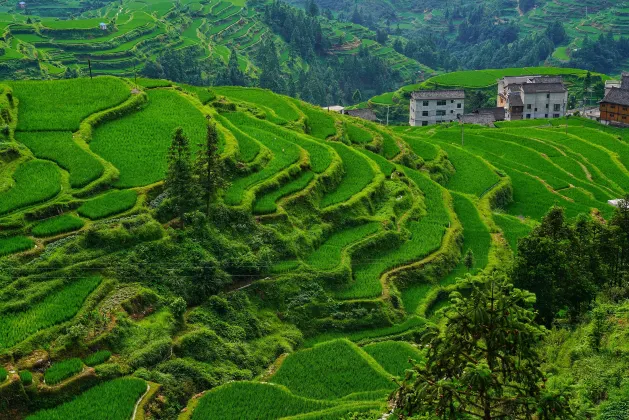 法羅群島 飛 清邁