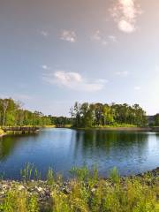 Taoshan Lake