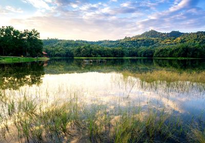 Yatsugatake Natural & Culture Park