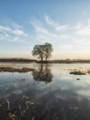 Водно-горячий парк в озере Северный Лонг