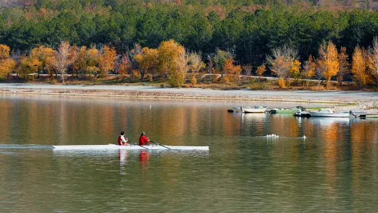 Lotus Lake