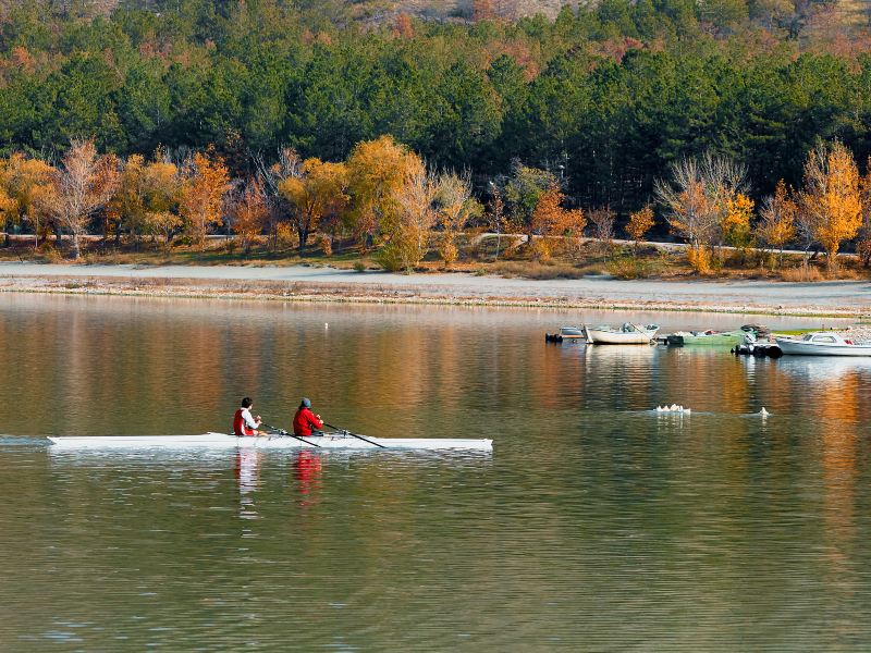 Lotus Lake