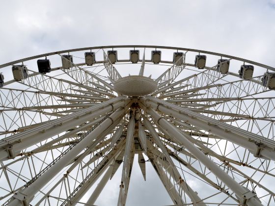 Niagara SkyWheel