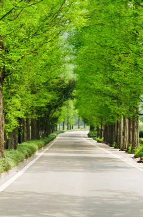 Các khách sạn gần Daebul University