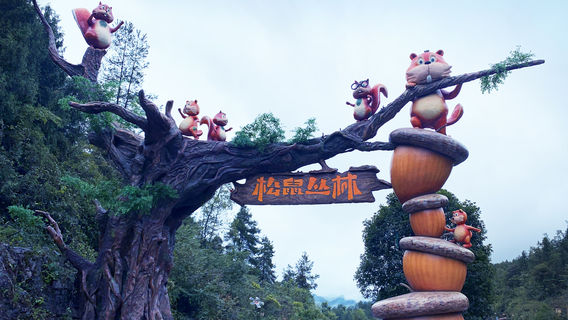 Squirrel Jungle Paradise