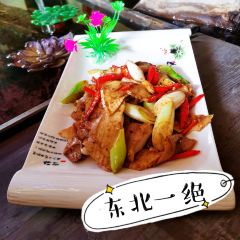 食城客栈百荷园生态餐厅 User Photo