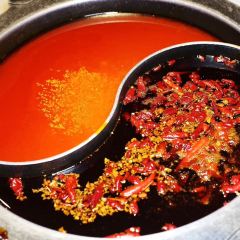 川西坝子 User Photo