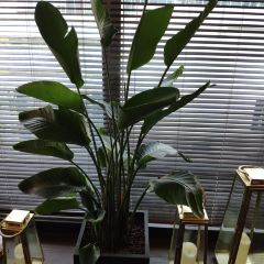 Simply thai tiantai (jing'anjializhongxin) ảnh của người dùng