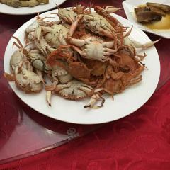 Sterne張用戶圖片