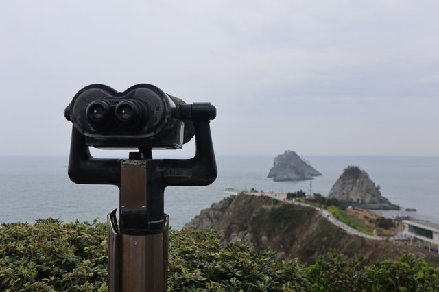 부산 3월 꽃구경 핫스팟