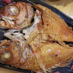 Japanese Cuisine User Photo