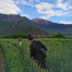 花音私厨 User Photo