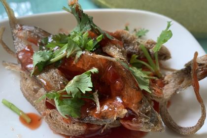 毛毛語農家菜館（梅園店）