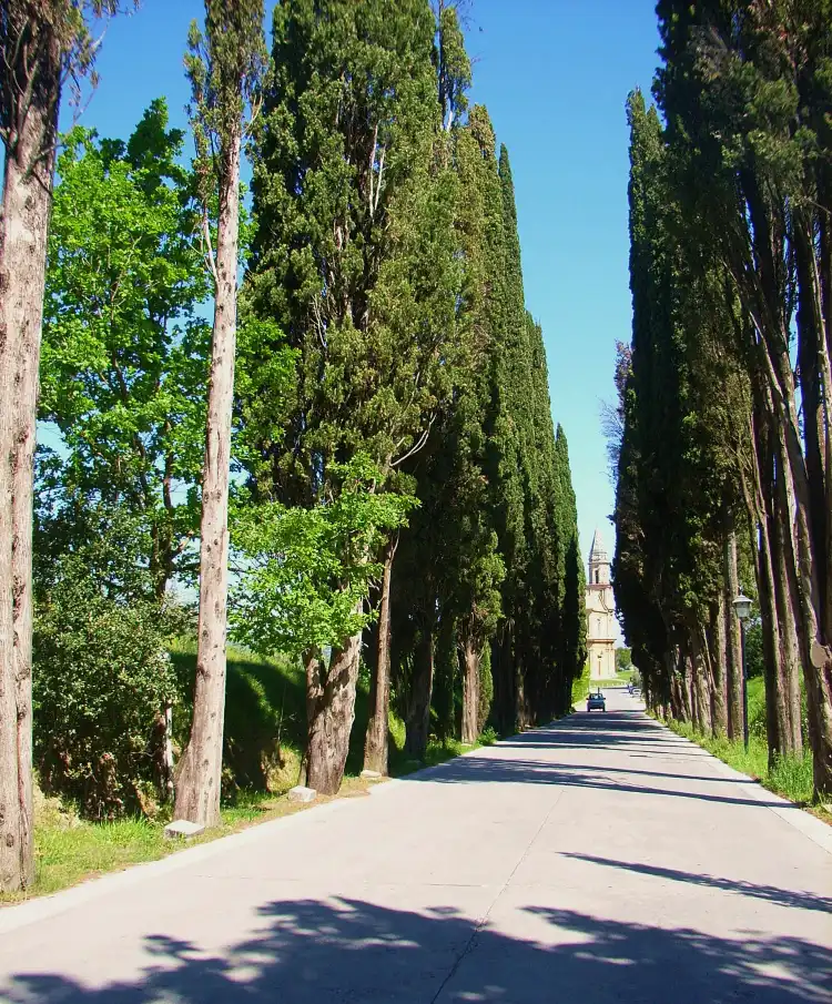 Hotels in Cypress
