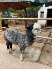 德陽動物園