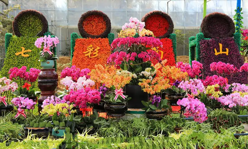 Hotels near Colorful Nanshan Scenic Area, Dalian