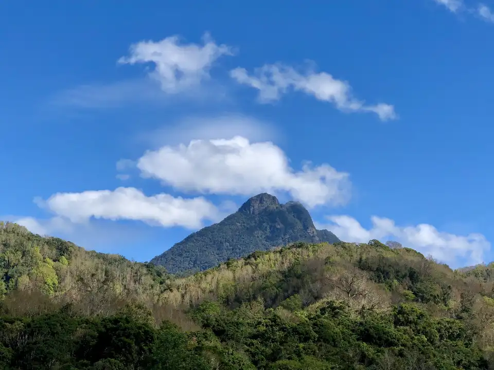 3_海南熱帶雨林國家公園五指山景區