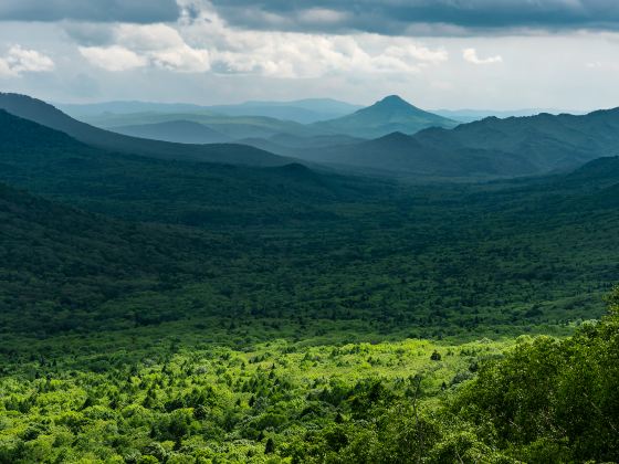 Baishi Mountain National Forest Park