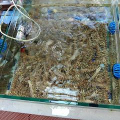 Lailaihaixiancanting|laoxiamenweidao (huochezhan) User Photo