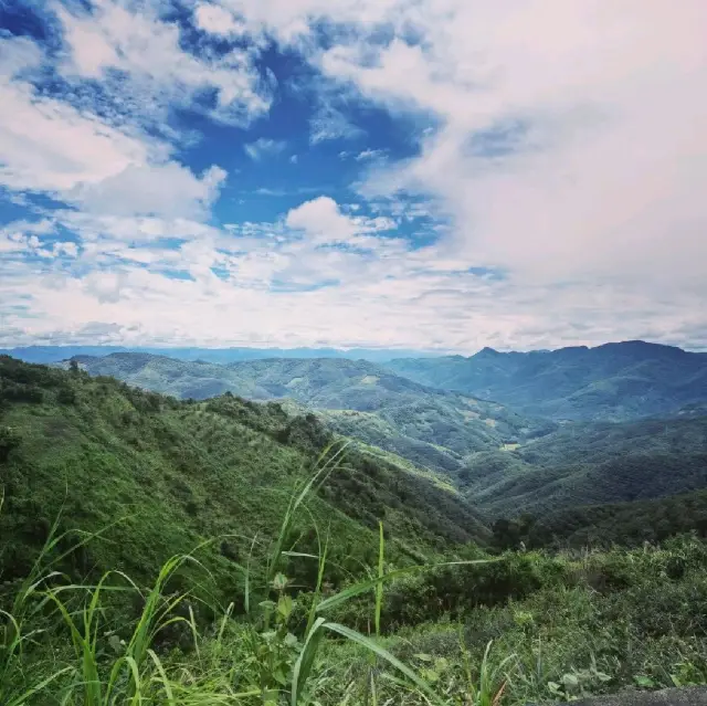  Unique Xishuangbanna 🍍