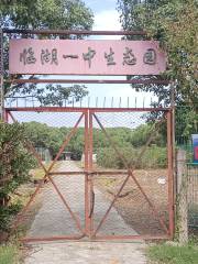 Linhuyizhong Ecological Park