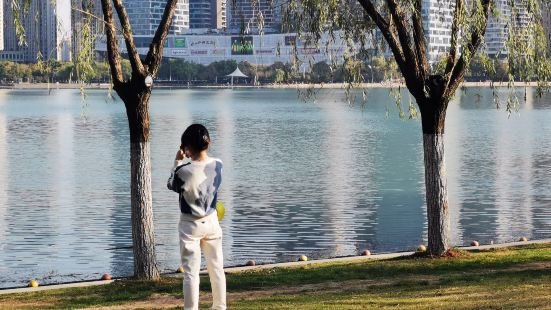 在不能遠行的日子里，這座湖應該成了合肥市民經常去打卡和休閑的