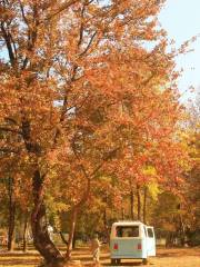 Shaoguan Lingxigu Campsite