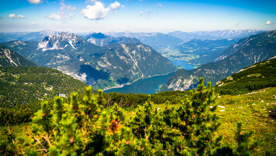 Obertraun