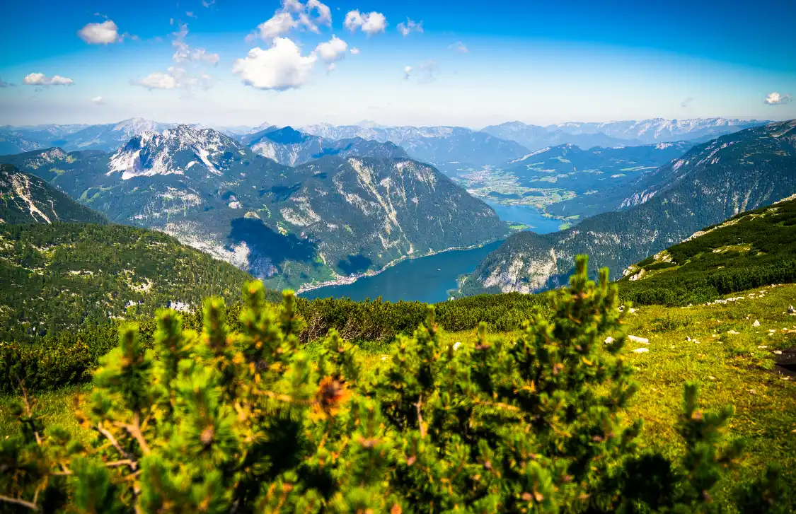 Các khách sạn gần Krippenstein