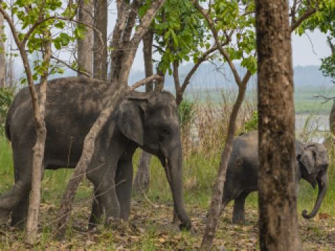 Hotels Near Kheri Bus Station