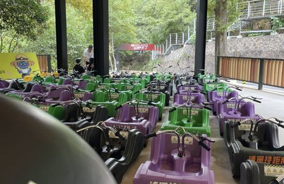 Daming Mountain Alpine Forest Neighboring Campsite
