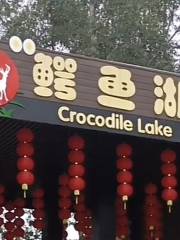 三水森林公園鱷魚湖