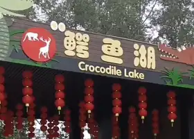 三水森林公園鱷魚湖