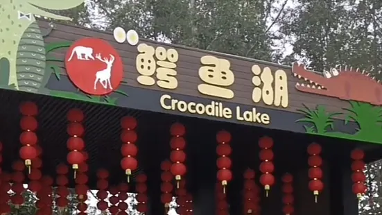 三水森林公園鱷魚湖