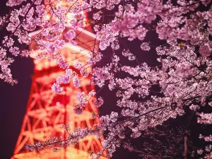 東京10大最佳美景飯店