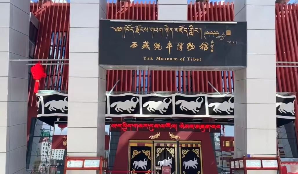 Lhasa Railway Station/Liuwu New Area