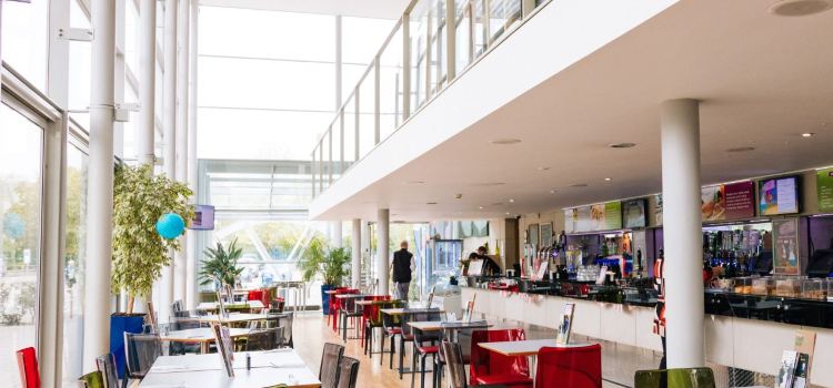 The Courtyard Cafe Bar
