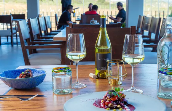 emat - cocina de huerto