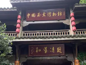 福鼎白茶博物館