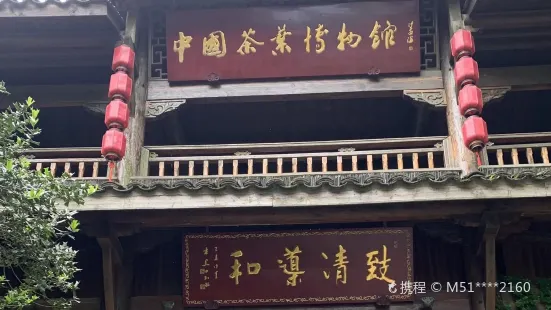 福鼎白茶博物館