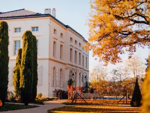 CHATEAU DE LONGPRE