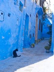 Medina of Chefchaouen