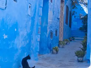 Medina of Chefchaouen